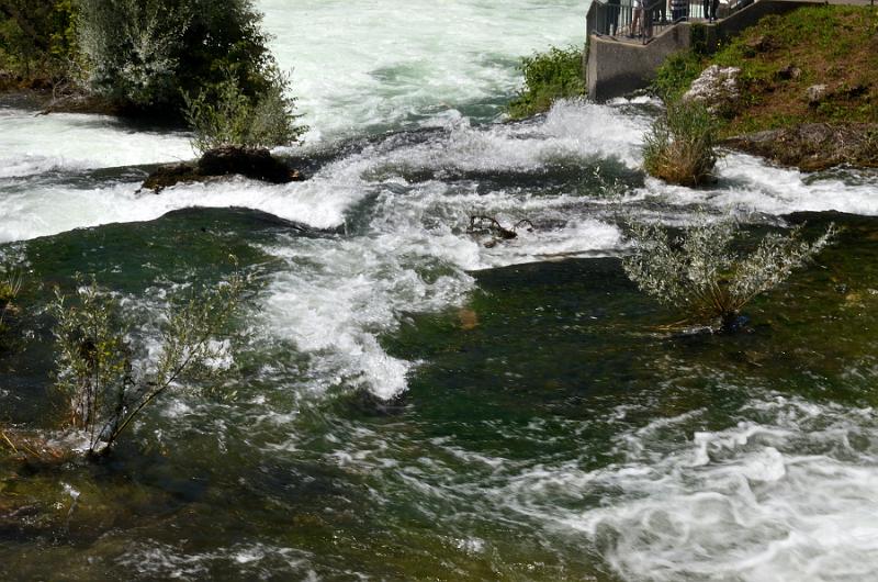 switz328.jpg - Rhine Falls 