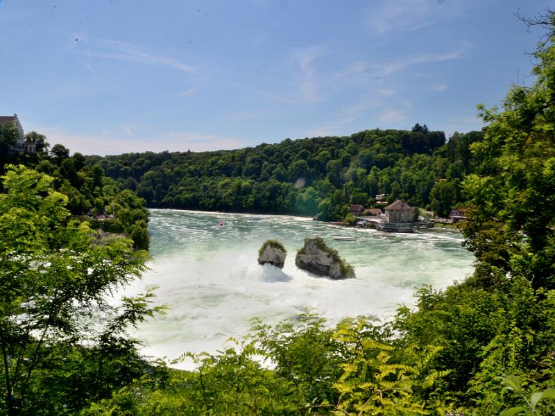 switz331.jpg - Rhine Falls 