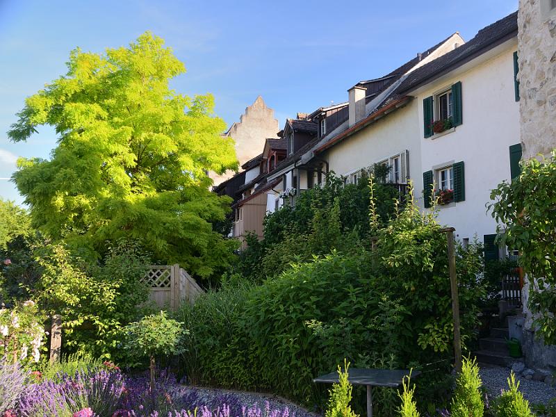 switz351.jpg - Stein am Rhein