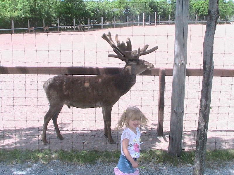 IMG_1644.jpg - Niagara Falls - Marineland