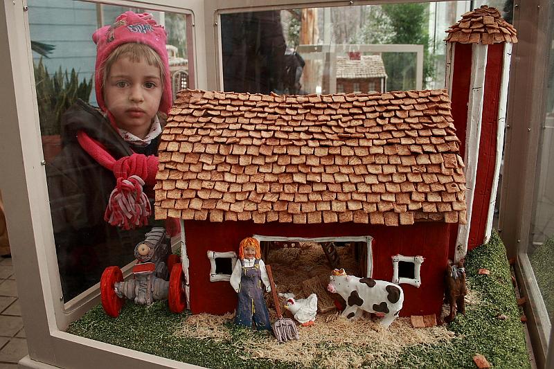 train2941.JPG - Gingerbread