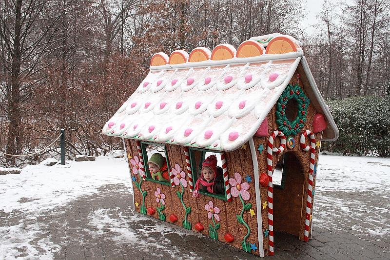 train2943.JPG - Gingerbread