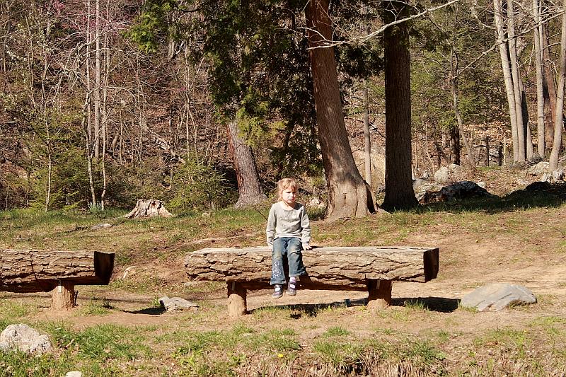 virgin3141.JPG - In the Park near Natural Bridge