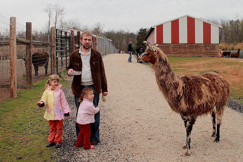 virgin3186.JPG - Zoo in Virginia