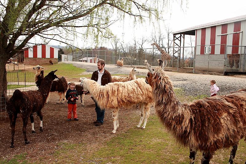 virgin3190.JPG - Zoo in Virginia