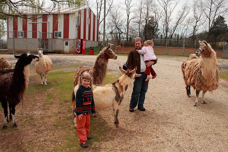 virgin3191.JPG - Zoo in Virginia