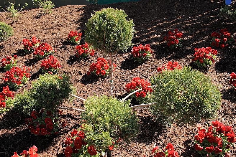 virgin3206.JPG - Busch Gardens, 'Europe'