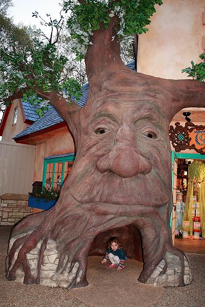 virgin3233.JPG - Bush Gardens