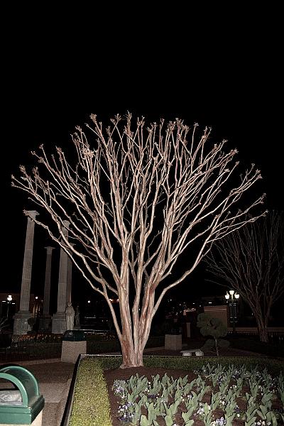 virgin3235.JPG - Busch Gardens, 'Europe'