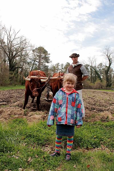 virgin3239.JPG - Colonial Williamsburg