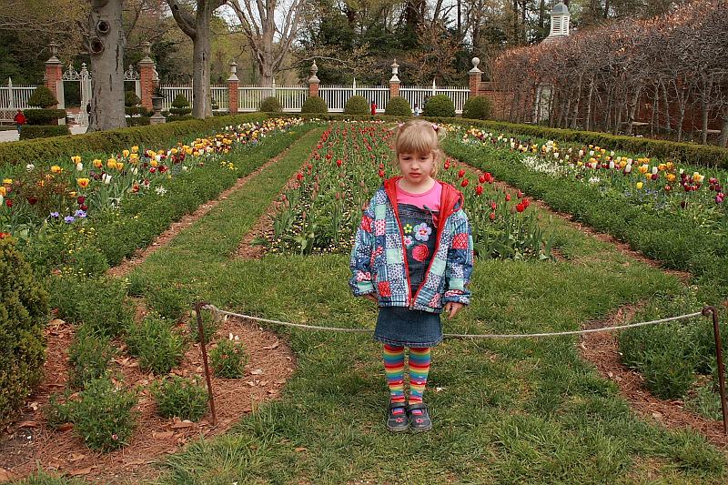 virgin3242.JPG - Colonial Williamsburg