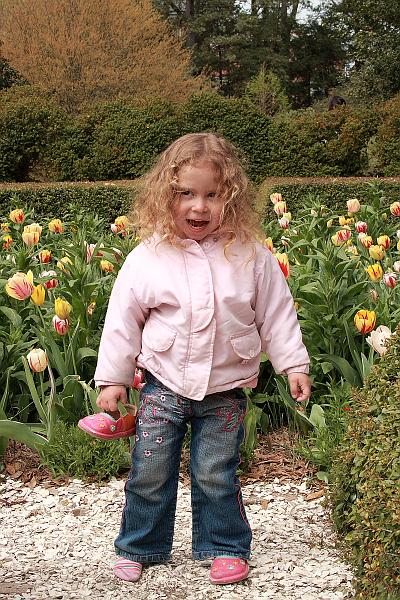 virgin3243.JPG - Colonial Williamsburg