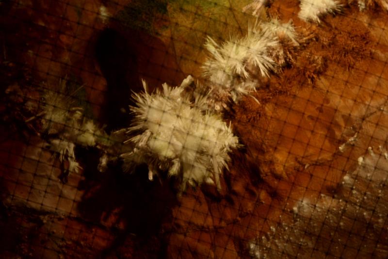 virg5037.JPG - Skyline Caverns