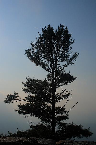 virg5043.JPG - Skyline Drive