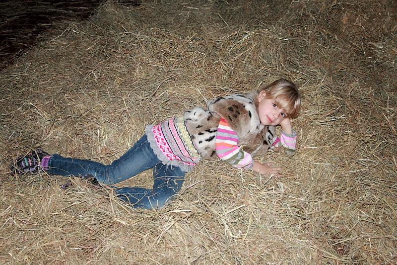 wash5782.JPG - Wasington DC zoo