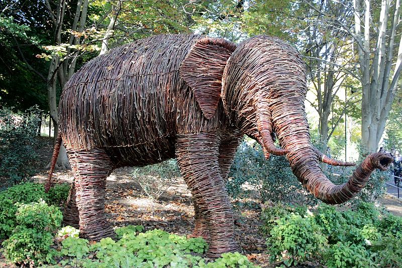 wash5785.JPG - Wasington DC zoo