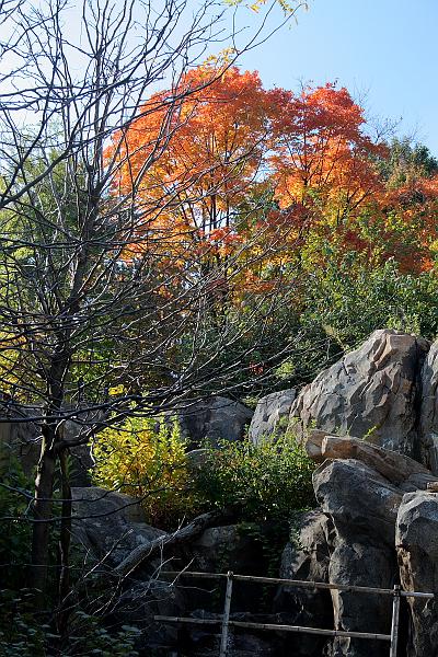 wash5788.JPG - Wasington DC zoo