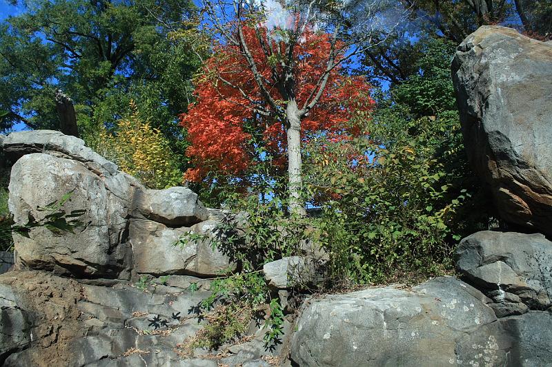 wash5790.JPG - Wasington DC zoo