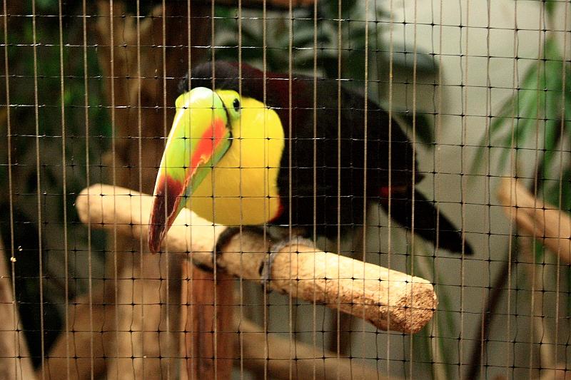 wash5796.JPG - Wasington DC zoo