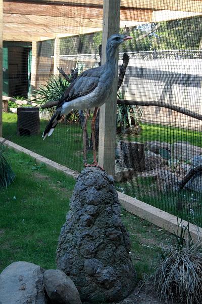 wash5800.JPG - Wasington DC zoo