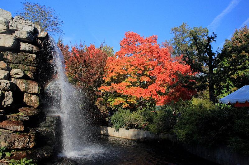 wash5803.JPG - Wasington DC zoo