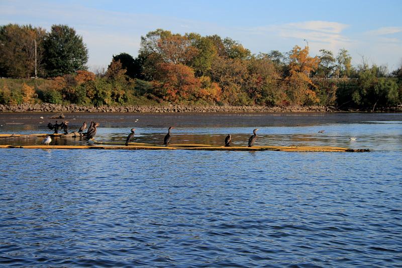 wash5904.JPG - Duck Tours
