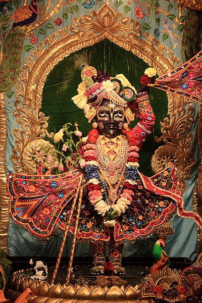 tmp5164.JPG - Sri Sri Radha Vrindavan Chandra Temple