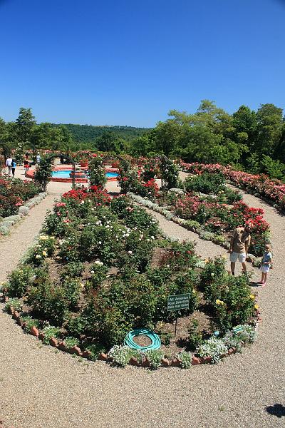 tmp5177.JPG - Rose Garden in Prabhupada’s Palace of Gold