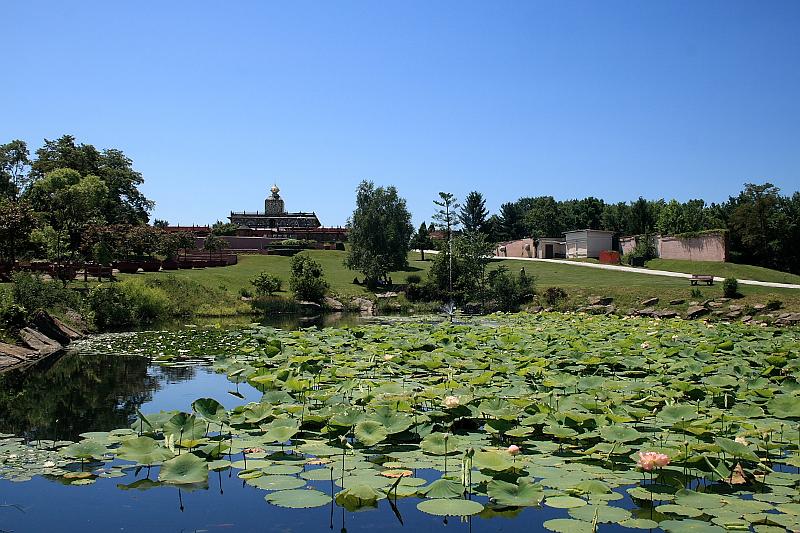 tmp5191.JPG - Lotus Pond in Prabhupada’s Palace of Gold