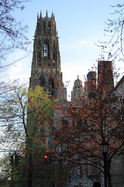 yale0499.JPG