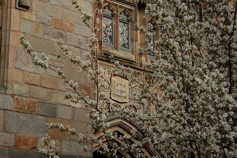 yale0504.JPG