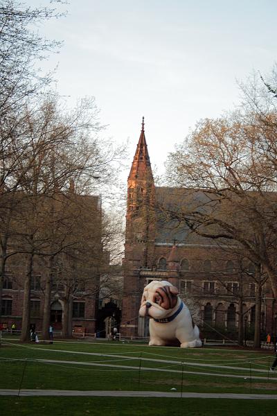 yale0510.JPG